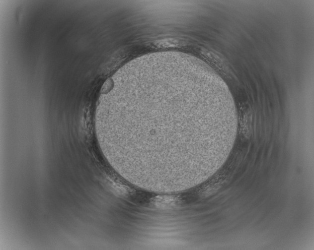 X0000072530418200608111751