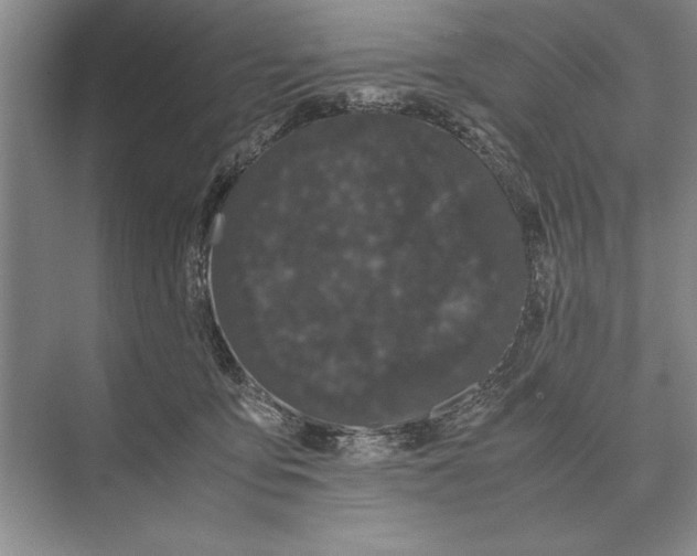 X0000072530419200608111751