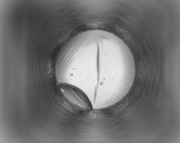 X0000072530420200608111751