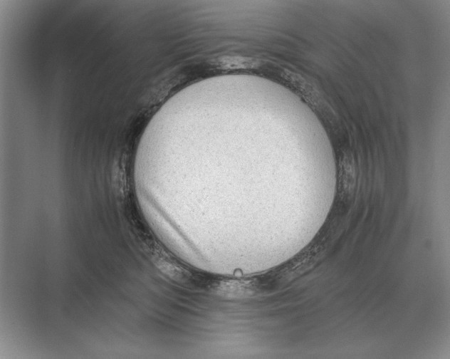 X0000072530422200608111751