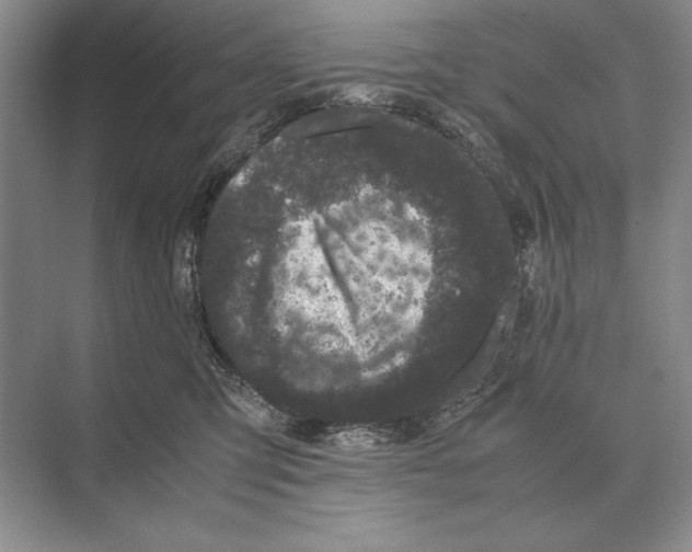 X0000072530423200608111751