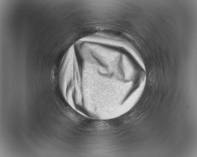 X0000072530424200608111751