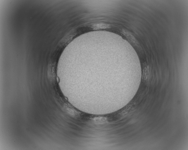 X0000072530426200608111751