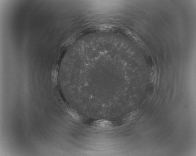 X0000072530427200608111751