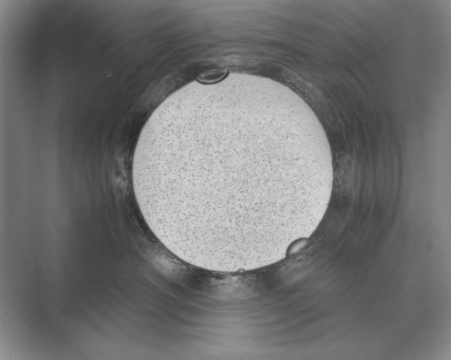 X0000072530430200608111751