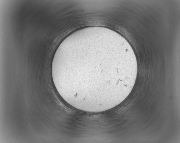 X0000072530433200608111750