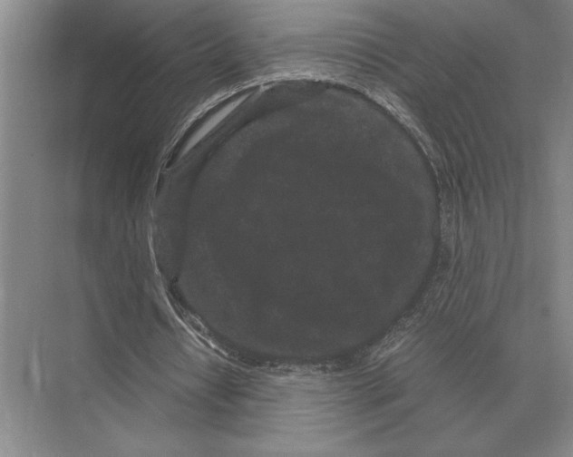 X0000072530434200608111750