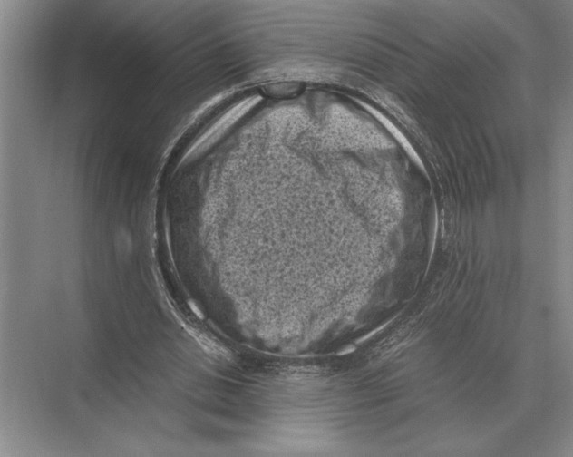 X0000072530438200608111750