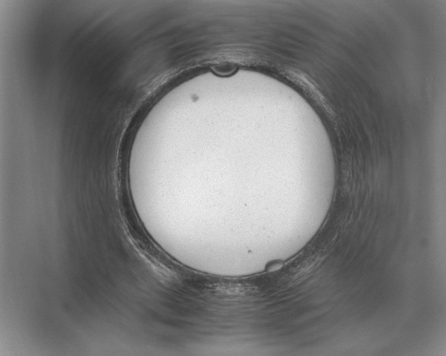 X0000072530439200608111750