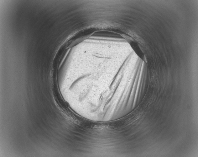 X0000072530440200608111750