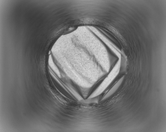 X0000072530442200608111750