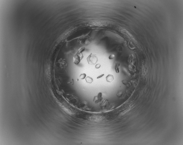 X0000072530444200608111750