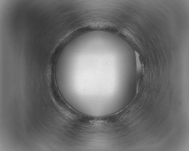 X0000072530448200608111750