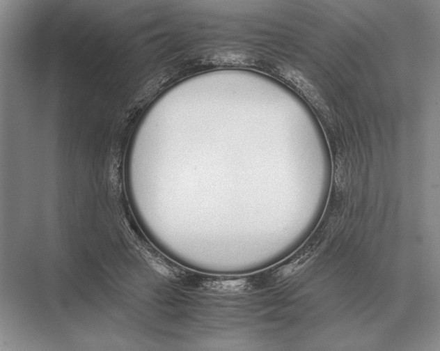 X0000072530449200608111750