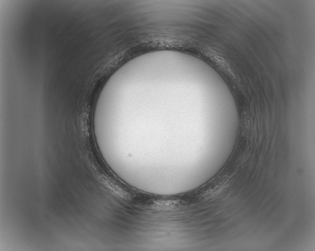 X0000072530450200608111750