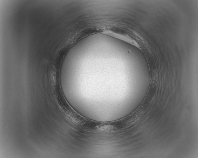 X0000072530452200608111750