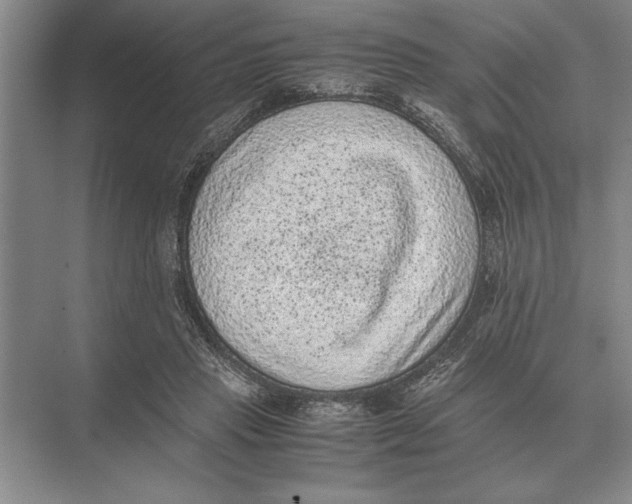 X0000072530453200608111750