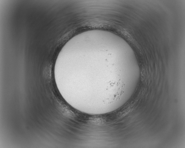 X0000072530454200608111750