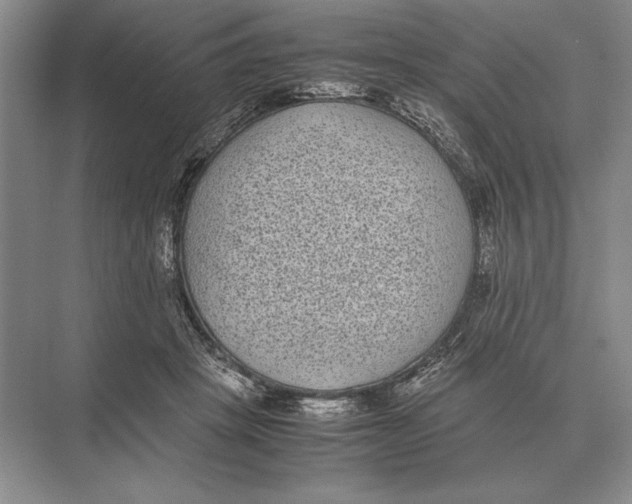 X0000072530457200608111750