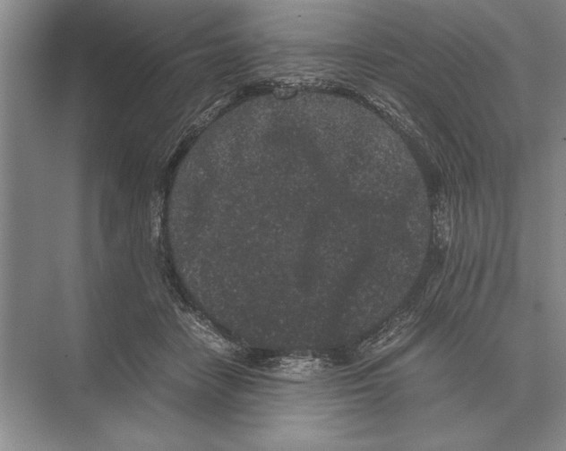 X0000072530458200608111750