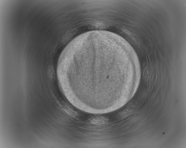 X0000072530459200608111750