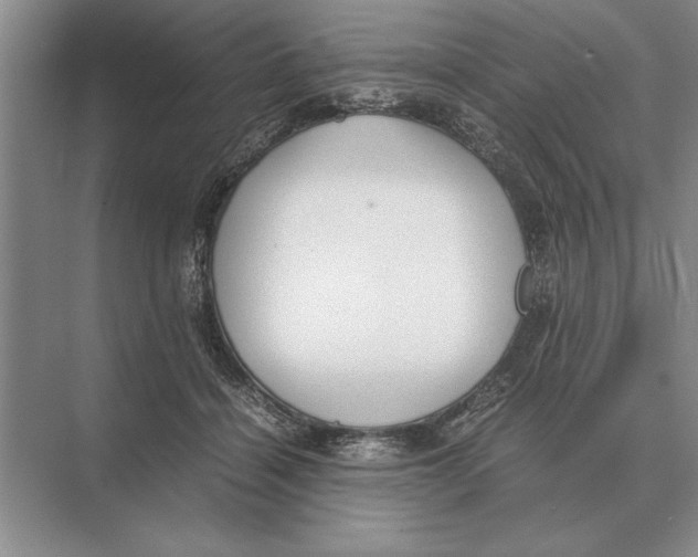 X0000072530460200608111751