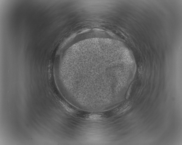 X0000072530462200608111751