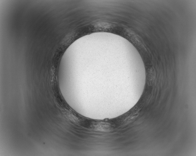 X0000072530463200608111751