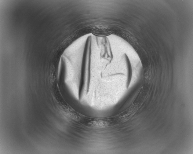 X0000072530464200608111751