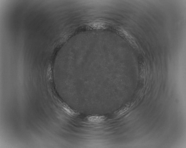 X0000072530465200608111751