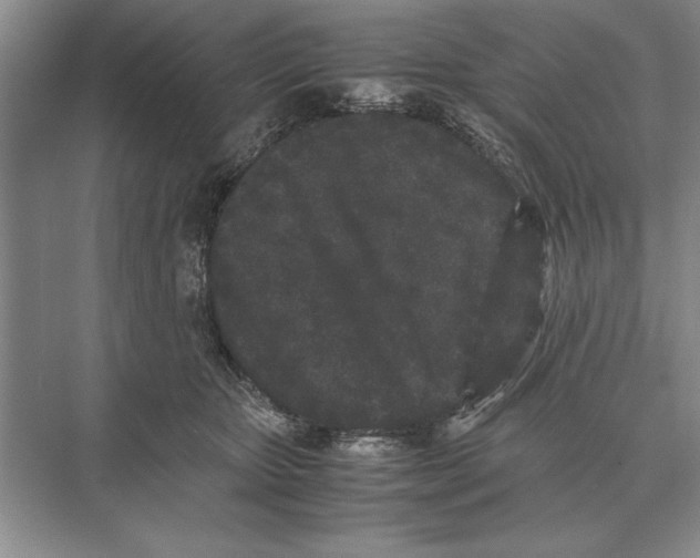 X0000072530467200608111751