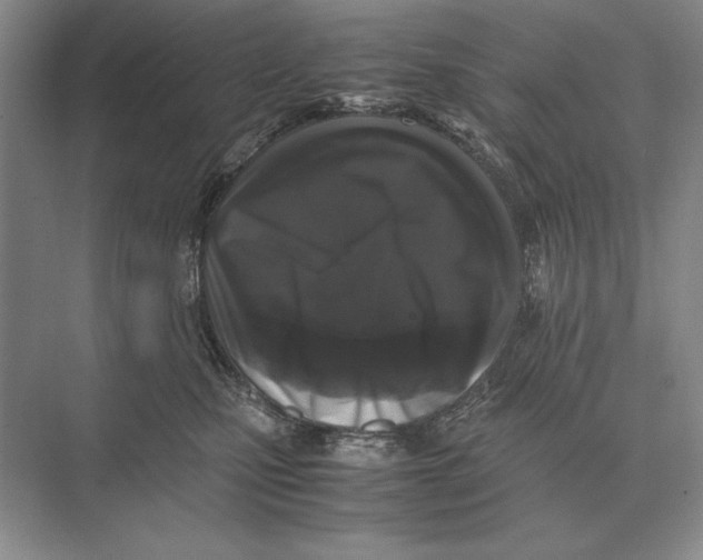 X0000072530471200608111751