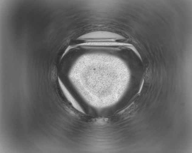 X0000072530474200608111751