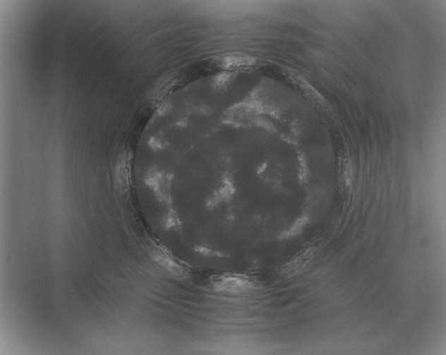 X0000072530475200608111751