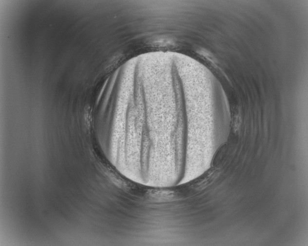 X0000072530476200608111751