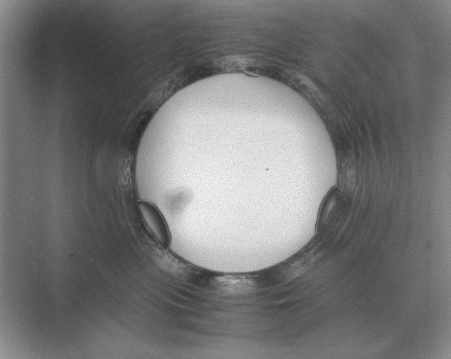 X0000072530477200608111751