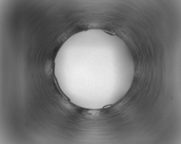 X0000072530478200608111751