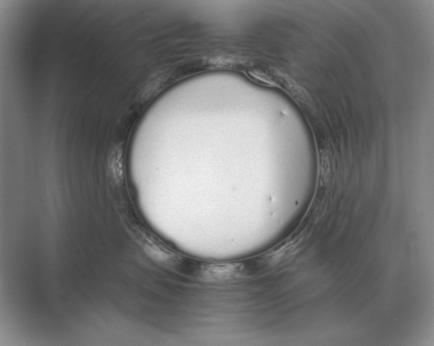 X0000072530479200608111751