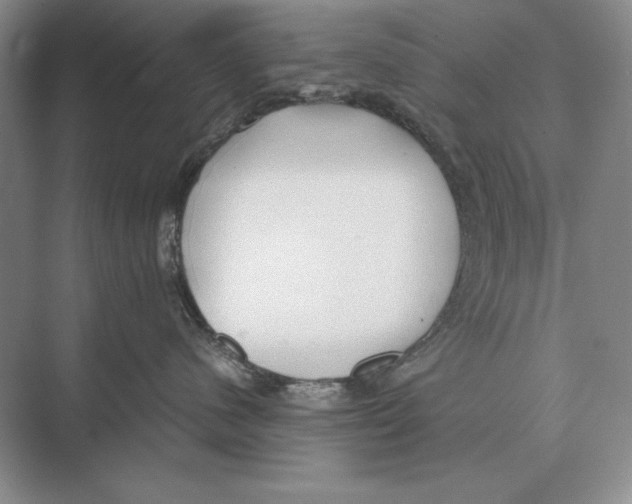 X0000072530480200608111751