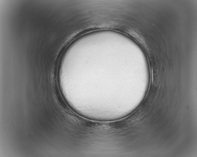 X0000072530483200608111750