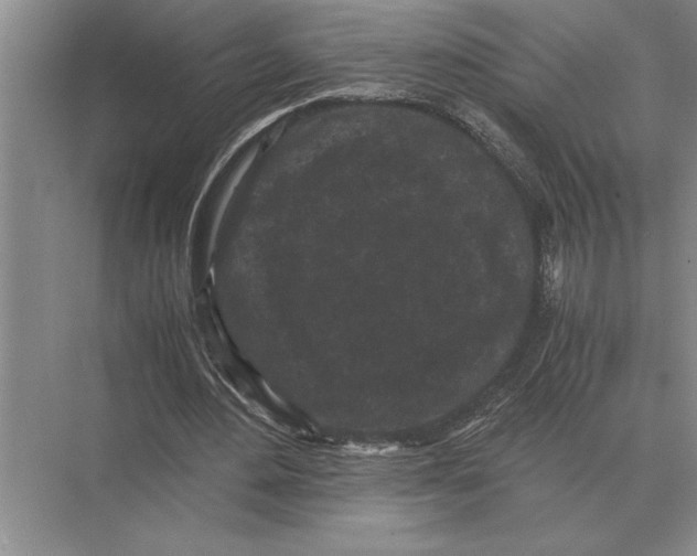 X0000072530484200608111750