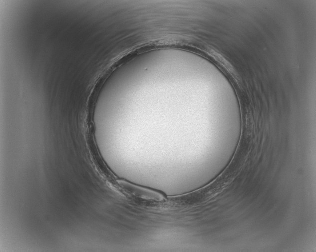 X0000072530485200608111750