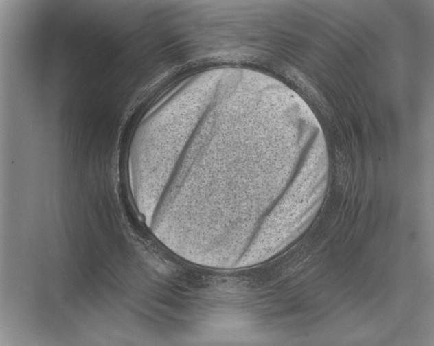 X0000072530486200608111750