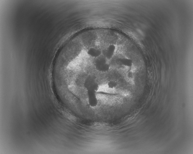 X0000072530487200608111750