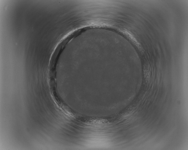 X0000072530488200608111750