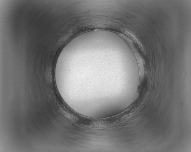 X0000072530489200608111750