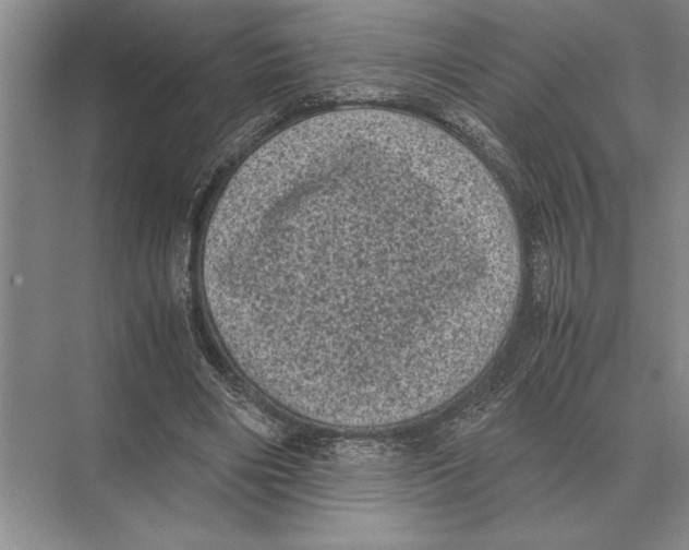 X0000072530490200608111750