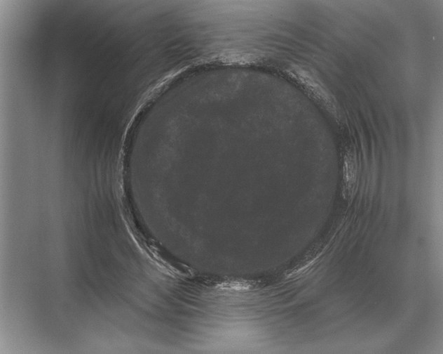 X0000072530492200608111750