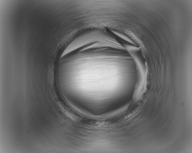 X0000072530493200608111750