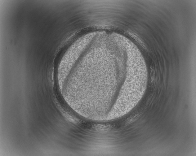 X0000072530494200608111750